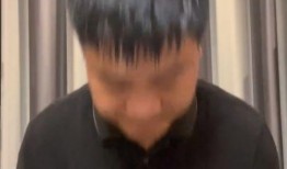 老陈最新爆料消息视频大全,最新视频大全揭秘幕后真相