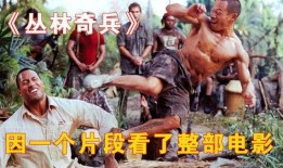 丛林奇兵在线观看,在线探险之旅